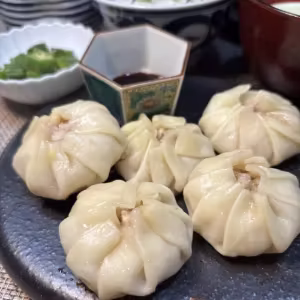 Steamed Gyoza