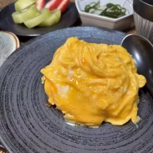 Hayashi Rice Omelette