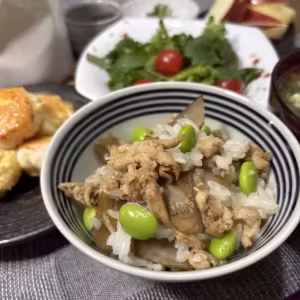 Chicken–Burdock Rice