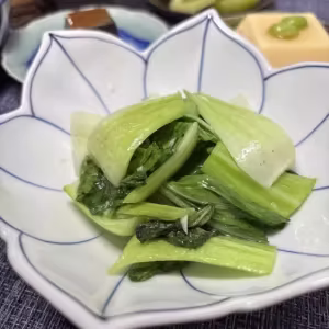 Garlic Sautéed Bok Choy