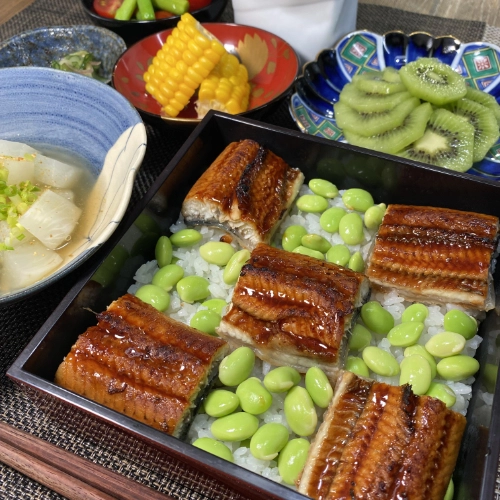 Unagi (Grilled Eel)