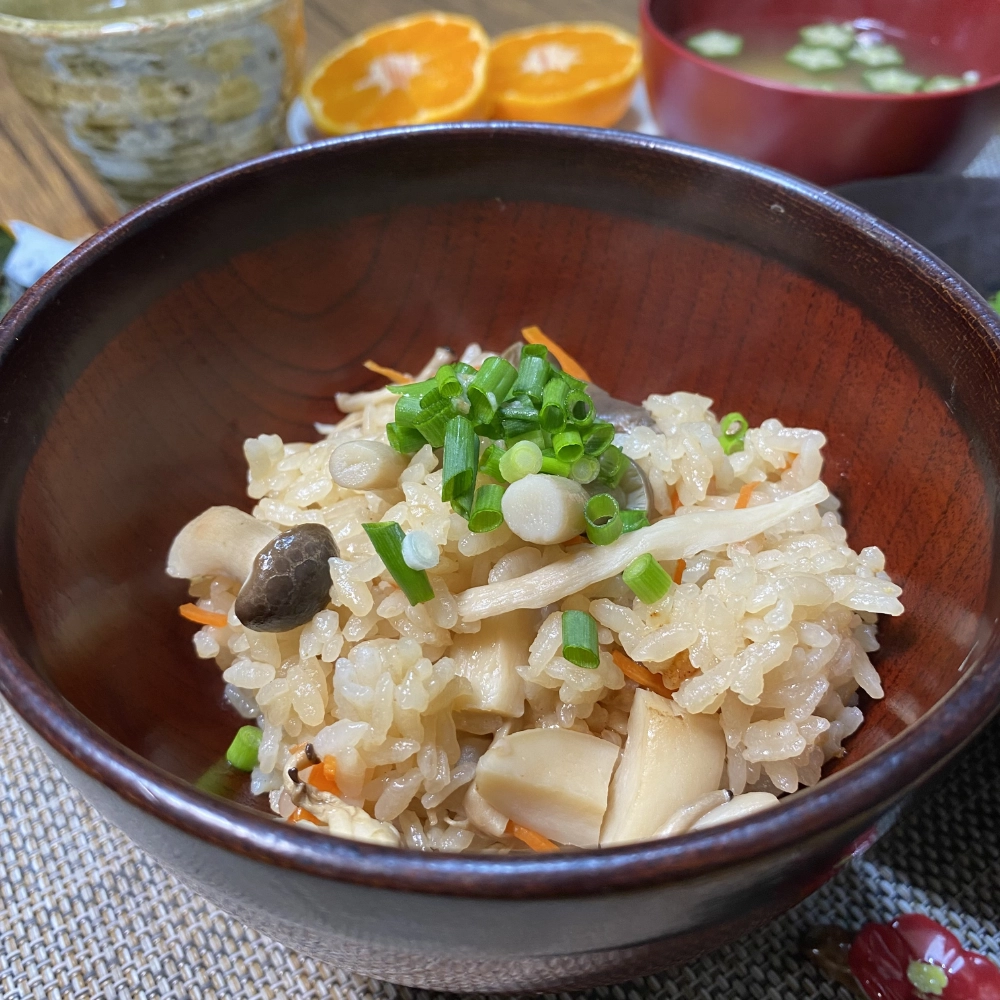 Japanese Style Mixed Rice