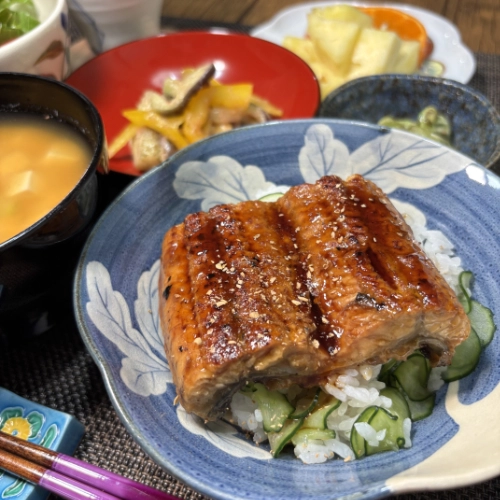 Grilled Eel Served with Cucumber Rice