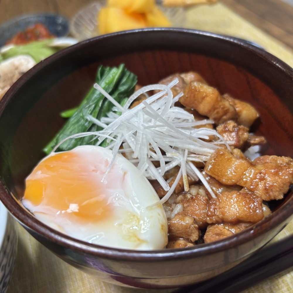 Taiwanese Braised Pork Rice