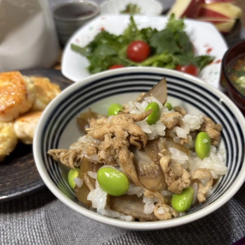 Chicken–Burdock Rice